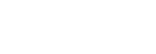 Noo Wok Logo